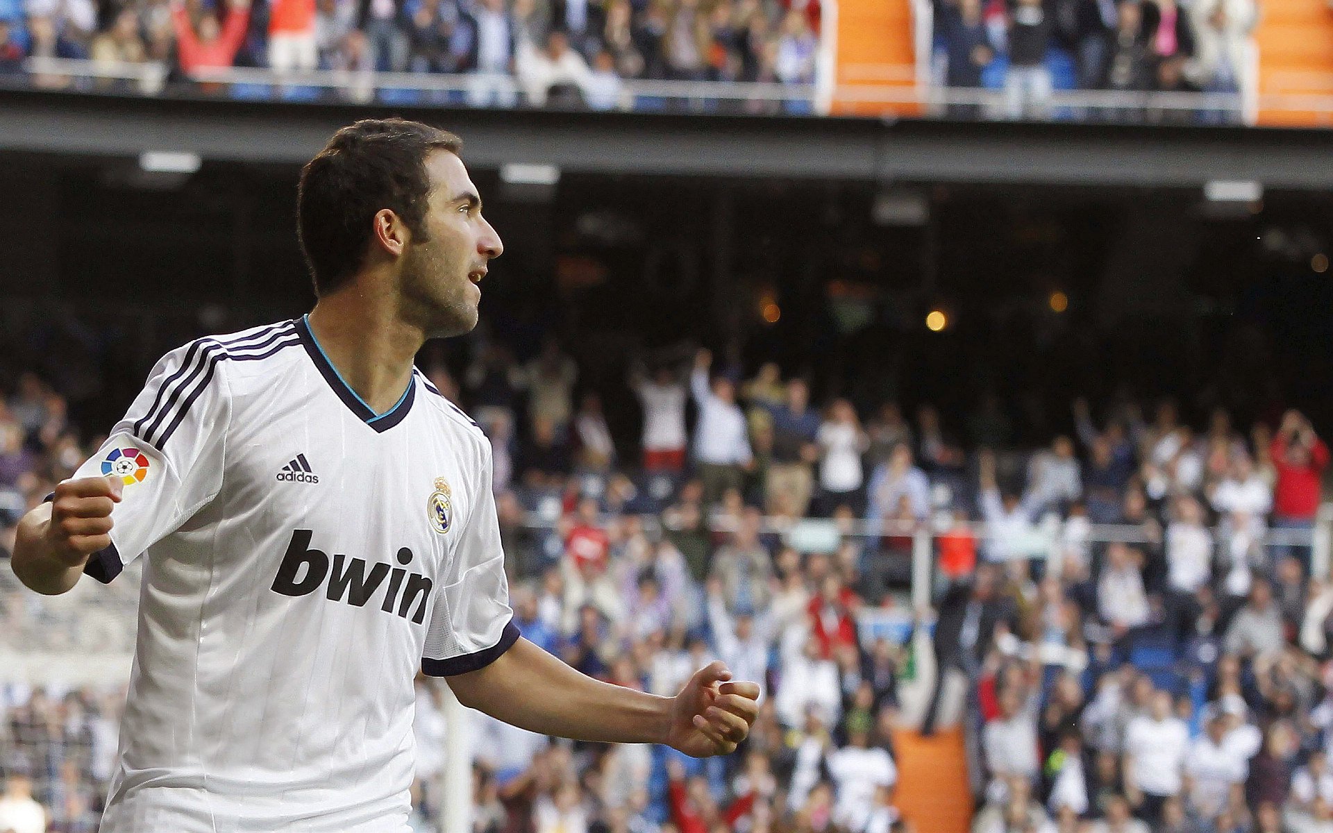 博洛尼亚短传渗透打出立体攻击方式，博洛尼亚作品集